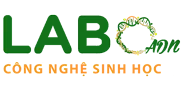 Xét nghiệm ADN Ninh bình